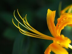 今年は 少なかったな～