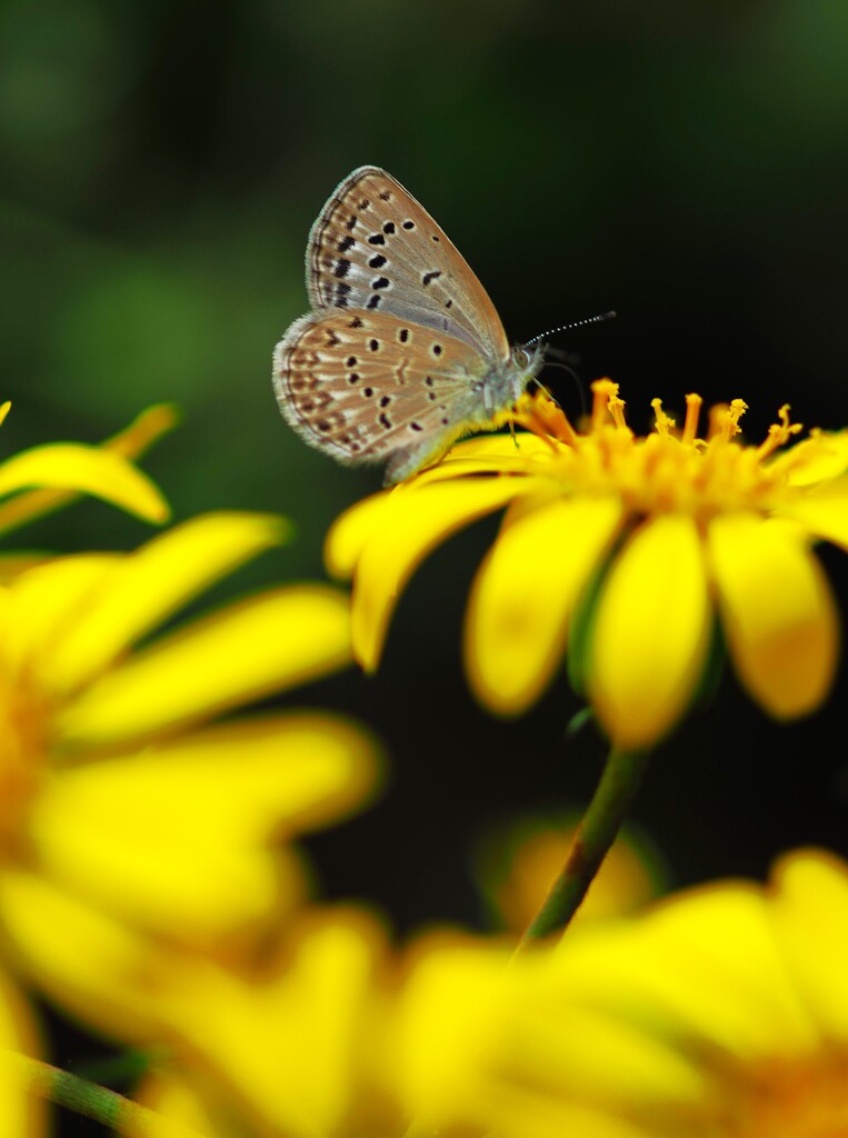 お目覚めですか