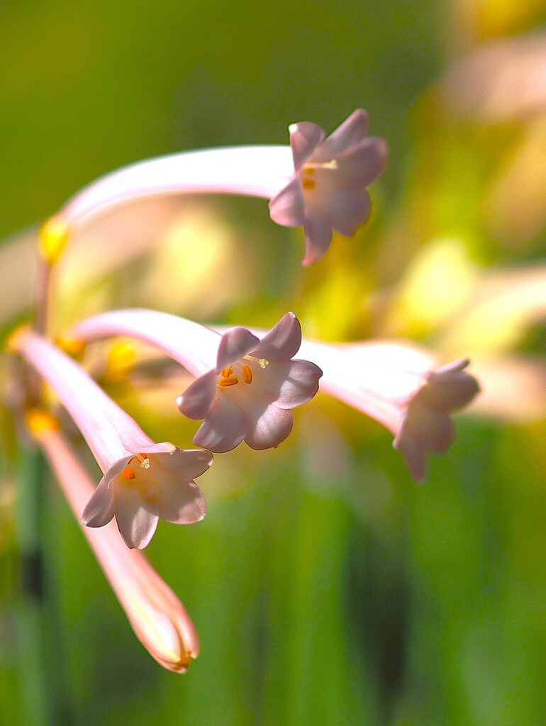 真冬でも 頑張る
