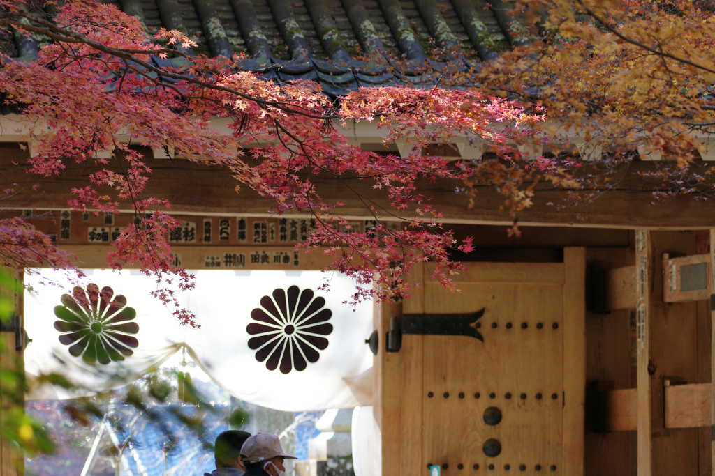 油山寺1