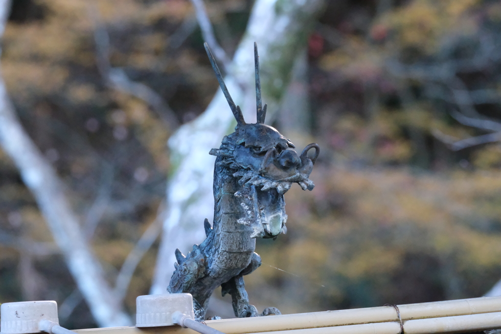 洞慶院39