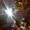 紅葉を突き抜ける