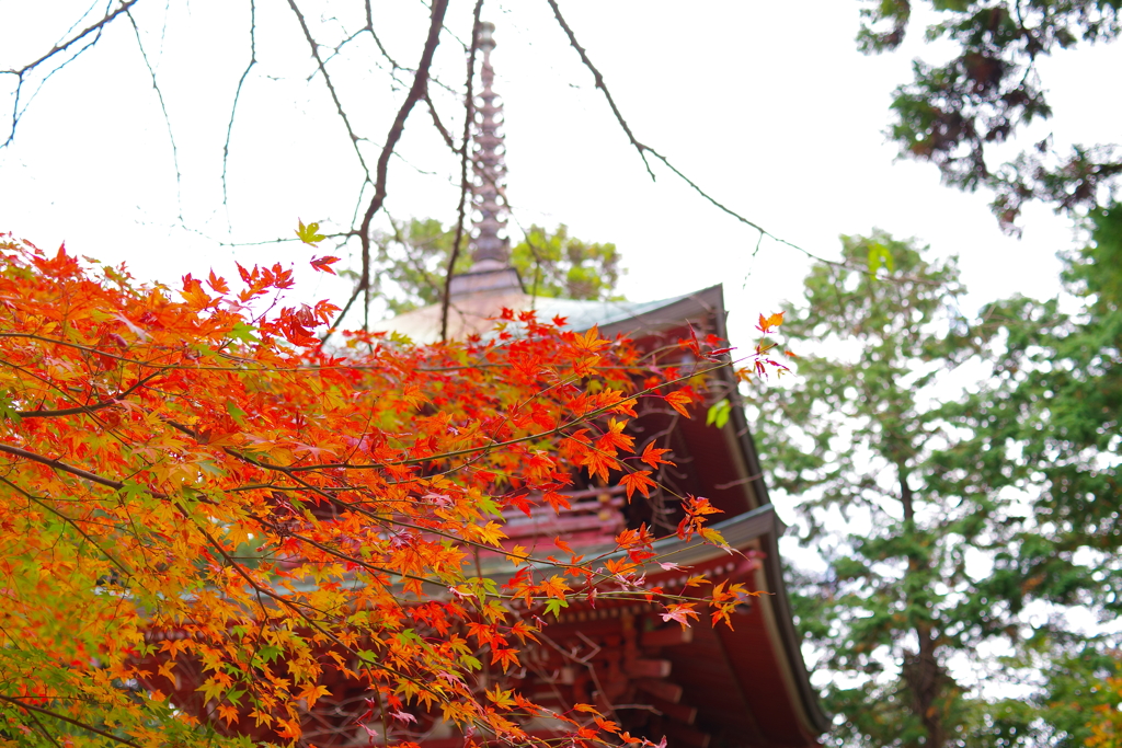 油山寺3