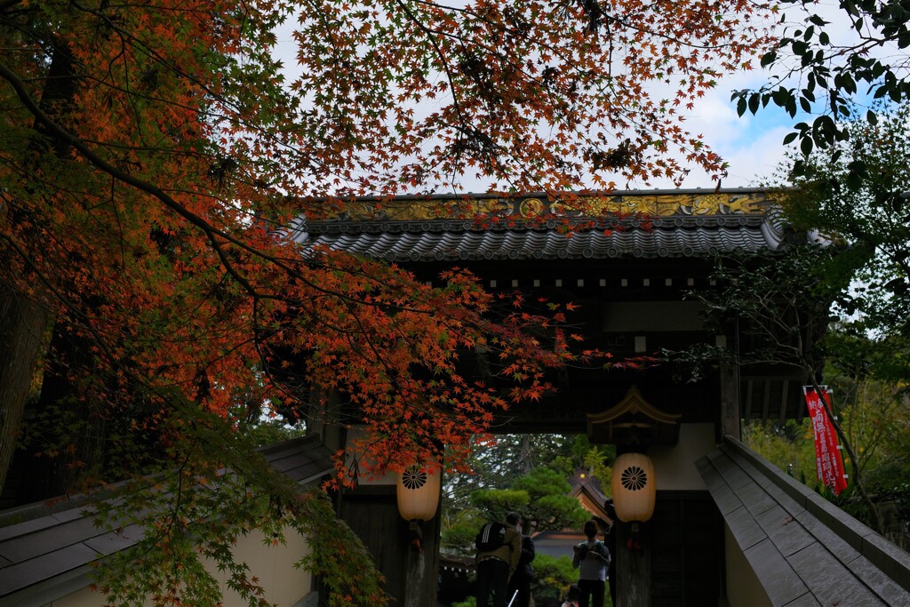 油山寺1