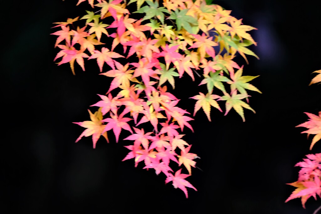 緑から赤へのグラデーション