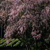 増善寺5
