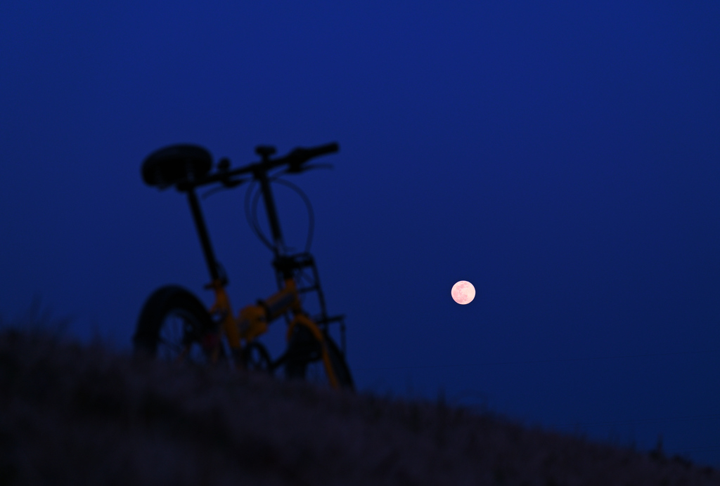 月夜を快走