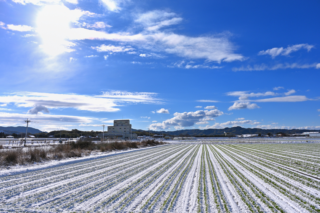 雪の大地