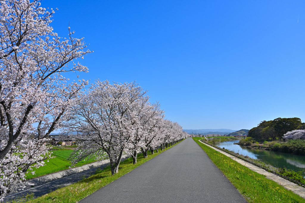 のどかな時間