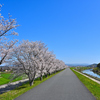 のどかな時間