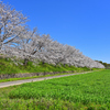 田舎の風景