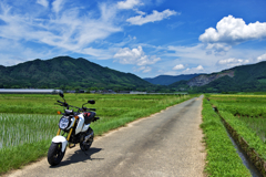 トコトコ トコトコ