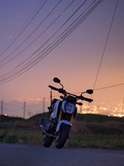 深夜徘徊