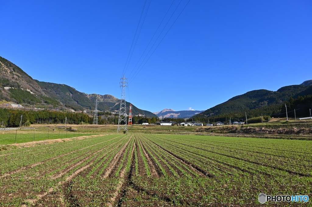 広大な大地