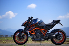 THE BEAST   THE BEAST