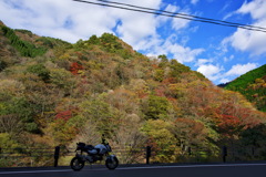 紅葉じゃ