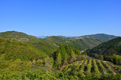 人里離れた山奥の風景