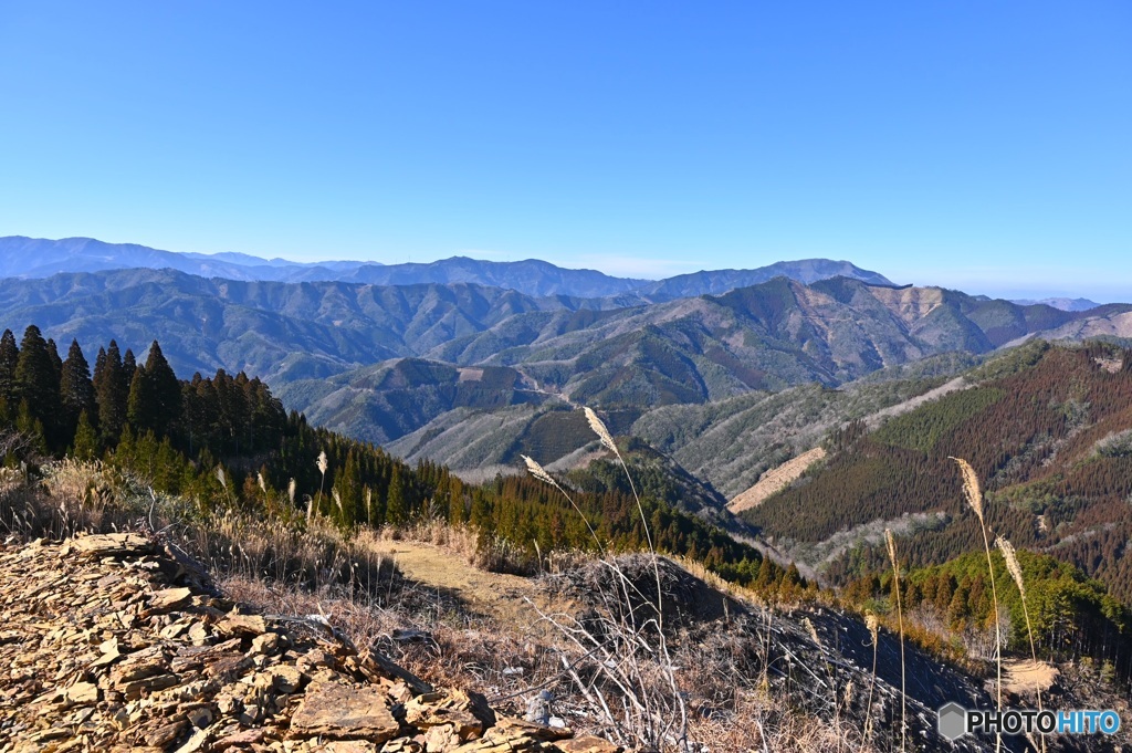 山奥にて