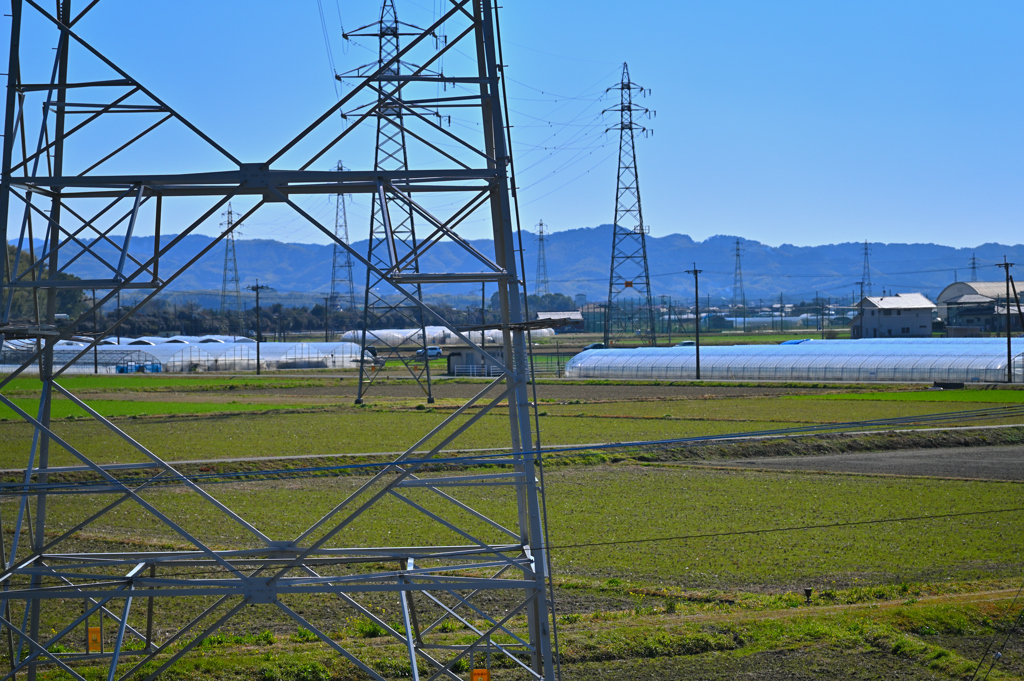 連なる送電鉄塔