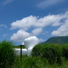 梅雨の貴重な晴れ間〜