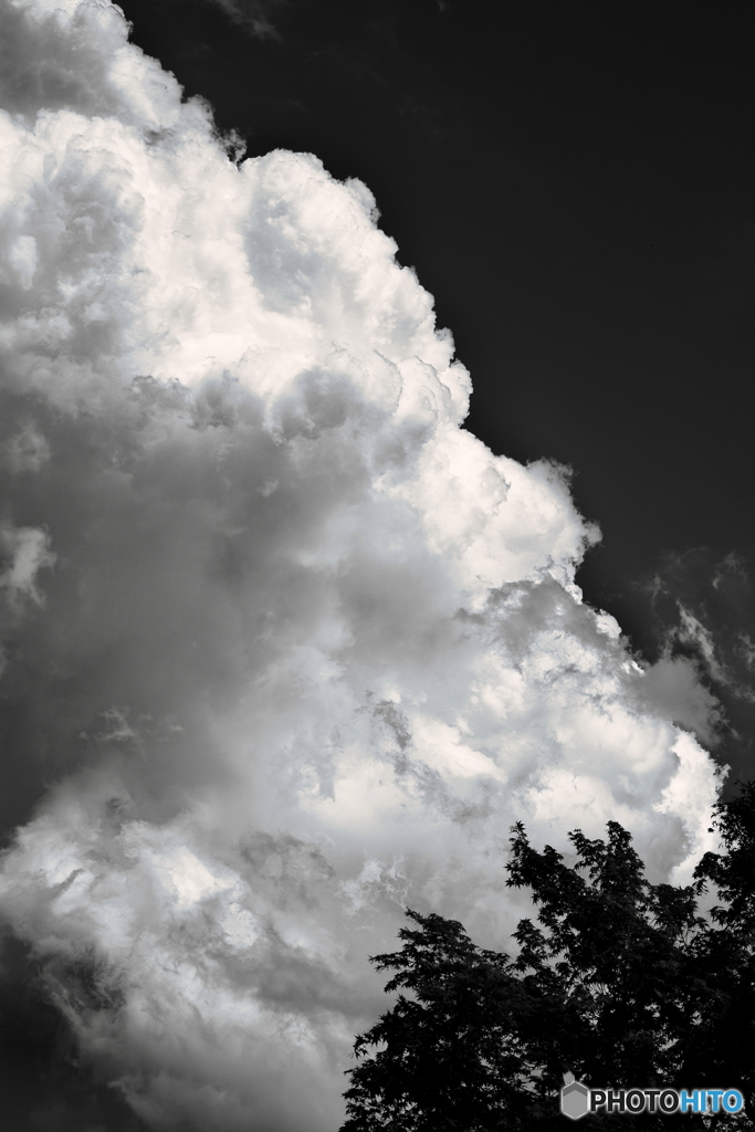 夏雲