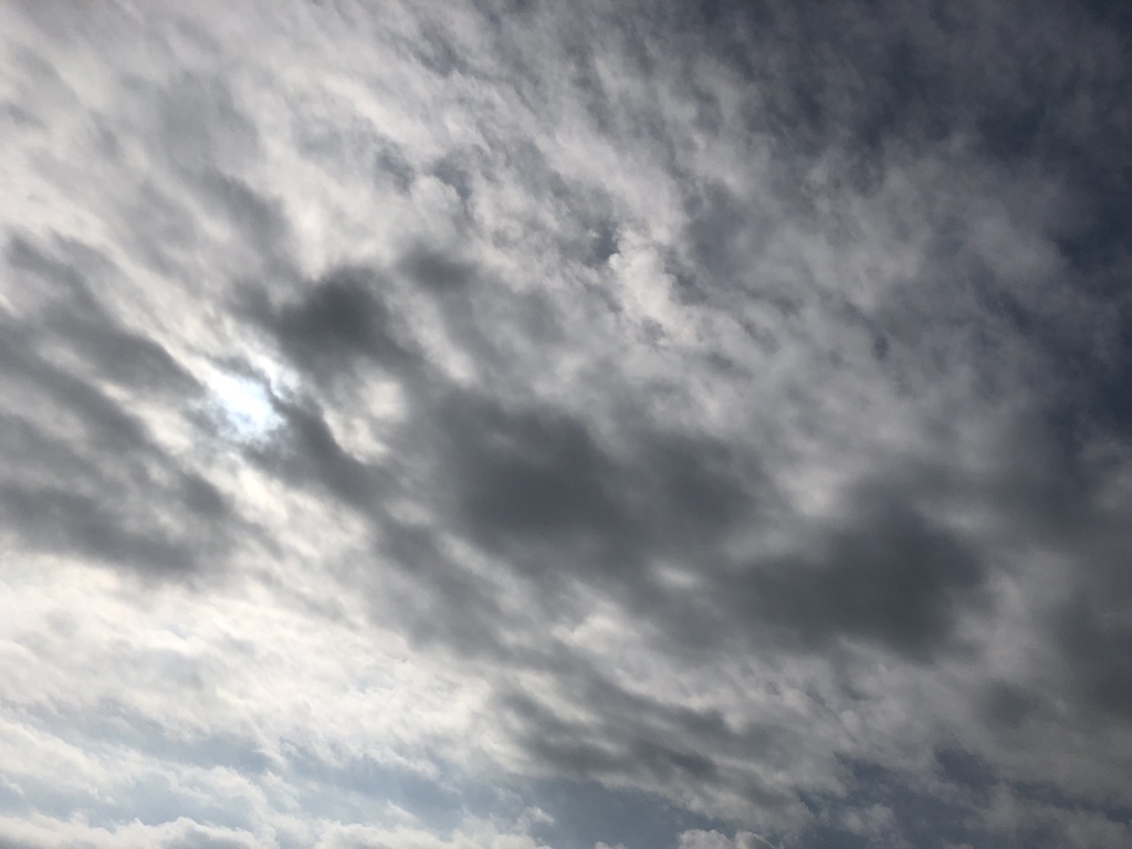 雲