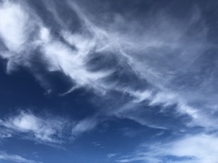 空