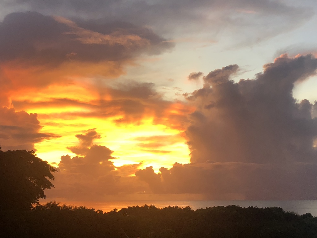 夕焼け