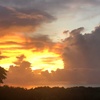 夕焼け