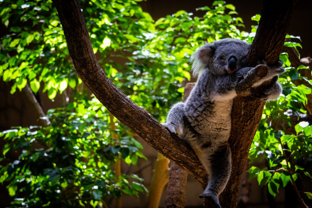 B24E473E-428B-4513-B0D8-E268BCDE6517