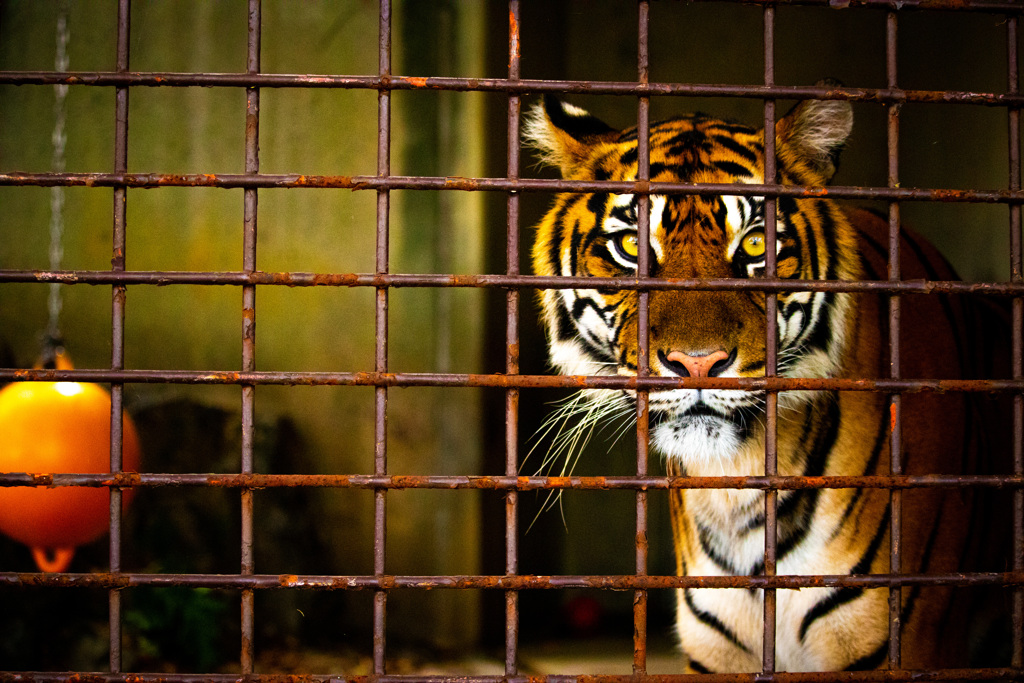 C9B68F3A-47ED-46A4-BC8A-9D30E916DAC8