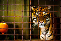 C9B68F3A-47ED-46A4-BC8A-9D30E916DAC8