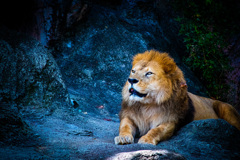 5FA80E40-CD6A-4A24-A1DE-7C1463F96A3E