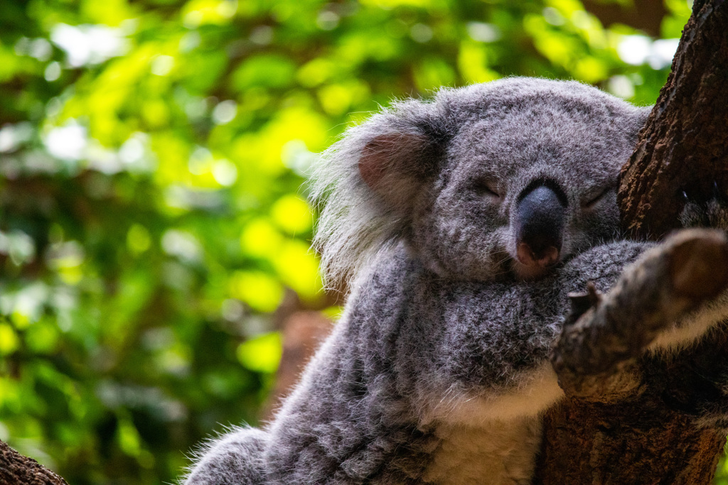 77555938-38C8-4EAB-88C2-DF696E40EE56