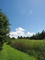 雲　その2