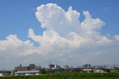 夏の雲