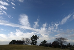 秋の空（巻雲）