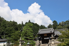 夏の神社