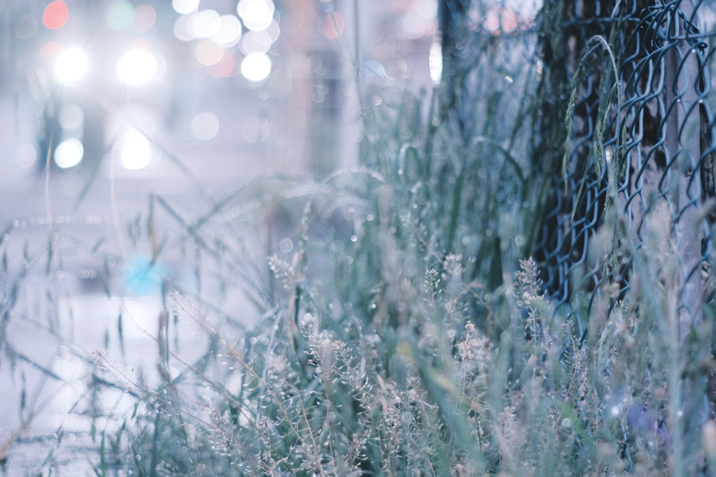 Night Fog