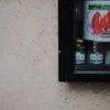 La Tomatina