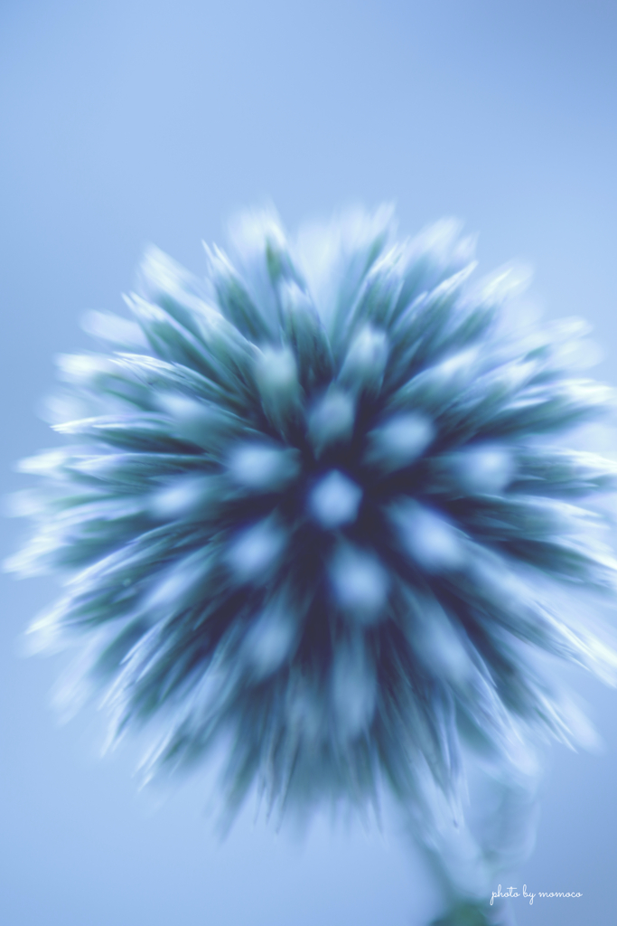 花火のよう