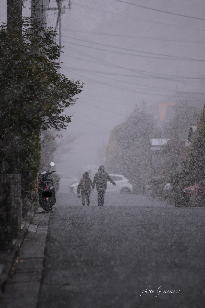 突然の吹雪