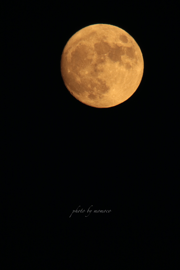 今夜の月