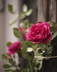 IMG_20210501_171429_749