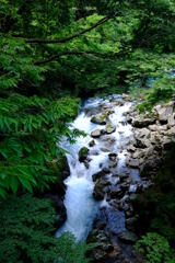 地元の清流②