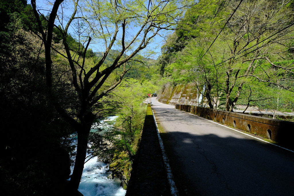 渓流と道のコラボレーション