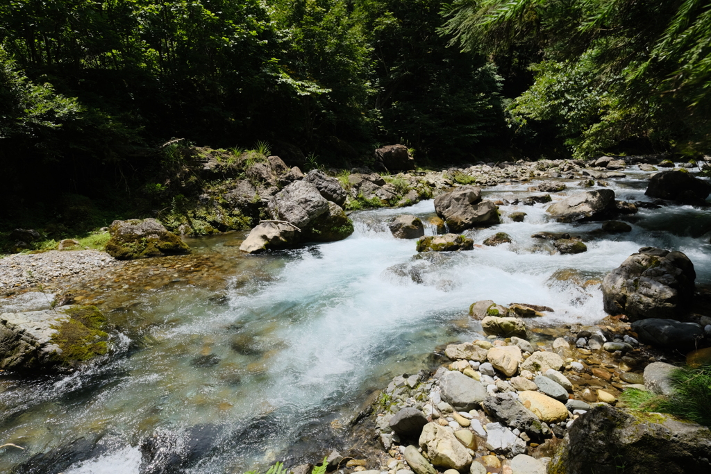 長良川の支流（神崎川）