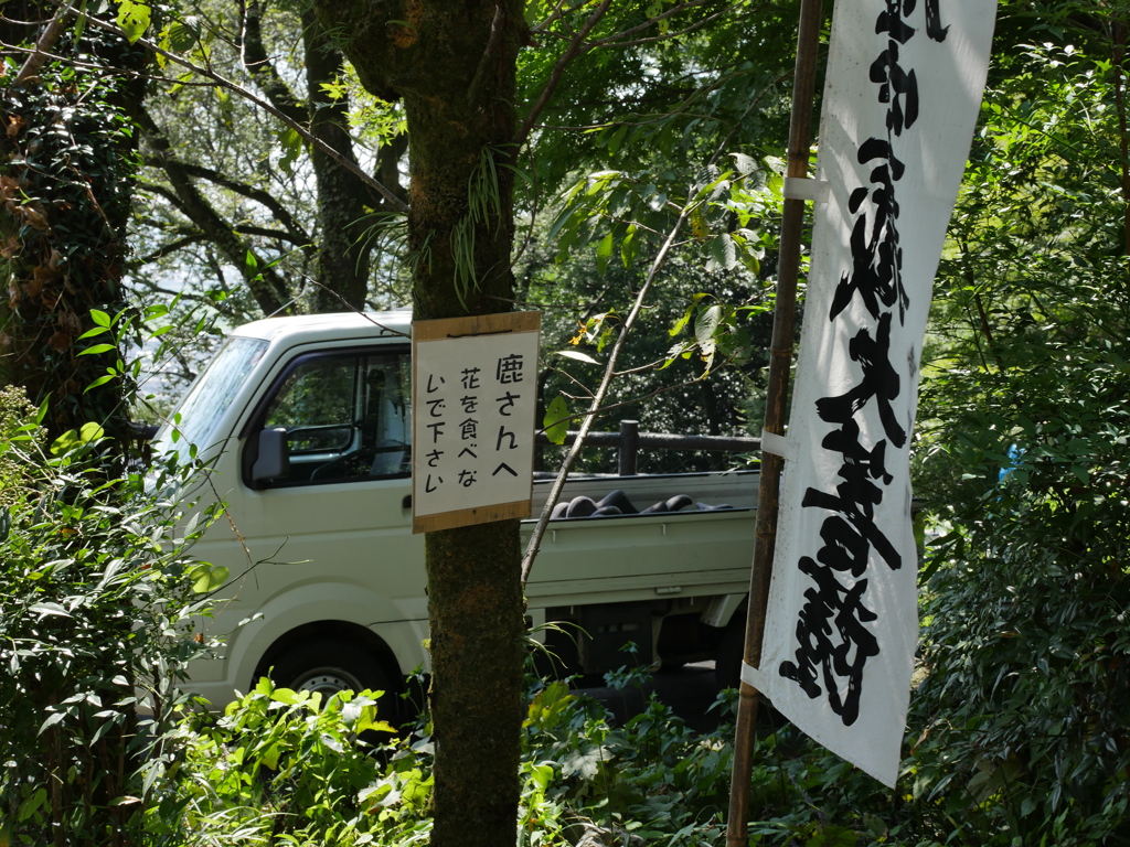 鹿さんは読めないと思う。
