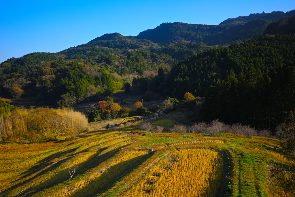 大山千枚田