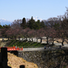 鶴ヶ城から望む表の磐梯山